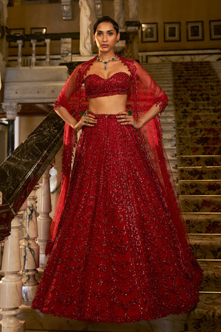 Red Crystal Lehenga Set