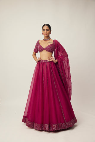 Ruby Red Organza Lehenga Set