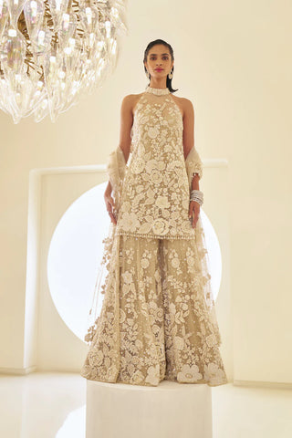 Nude Three-Dimensional Sharara Set