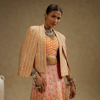 Border Embellished Noor Jacket Paired With Embellished Bustier And Ombre Embellished Lehenga