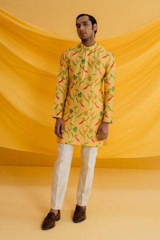 Amber Kurta Set with Cotton Silk Pants