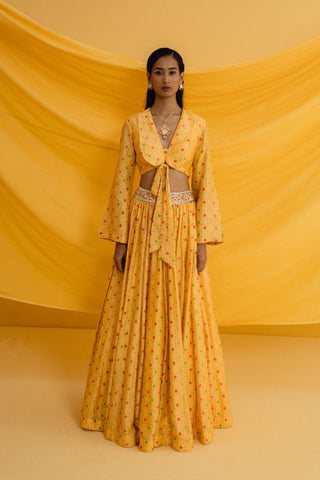 Amber Printed Yellow Lehenga Set