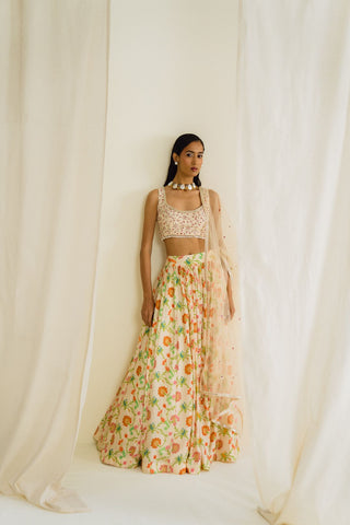 Ivory Printed lehenga Set