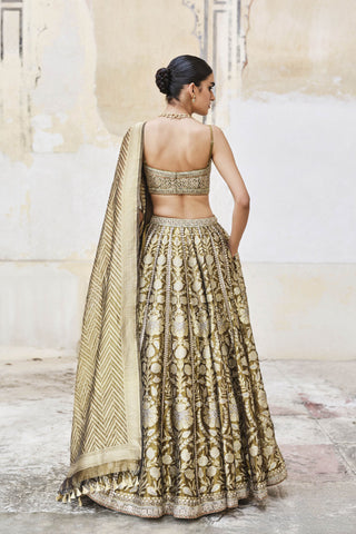 Adveka Handwoven Benarasi Silk Lehenga Set - Olive