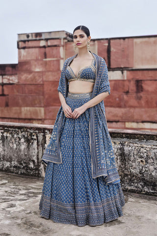 Abjini Printed Mul Lehenga Set - Blue