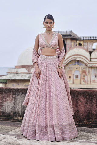 Alara Printed Mul Lehenga Set - Blush