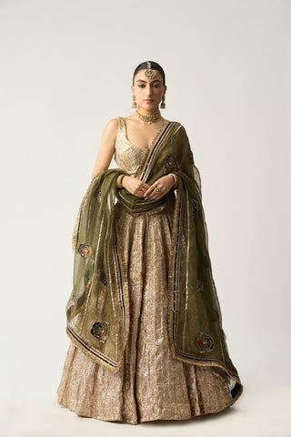 Hara Katputli Dupatta Chandi Lehenga Set