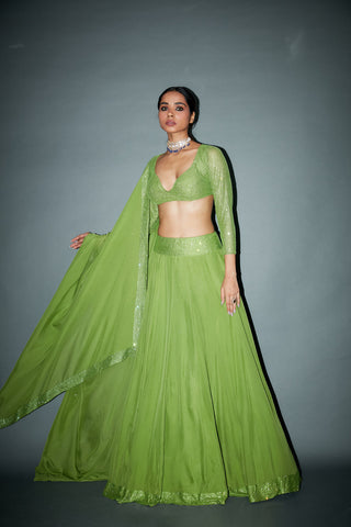 Bashemath Lehenga Set