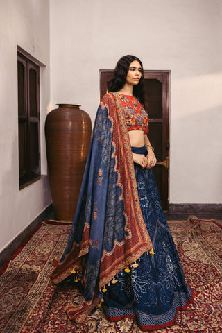 Sitara Red & Blue Lehenga set