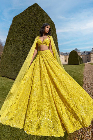 Yellow Sequin Lehenga Set