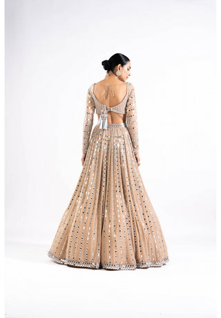 Beige Linear Drop Lehenga Set