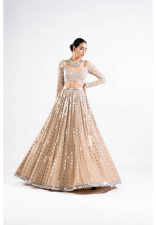 Beige Linear Drop Lehenga Set