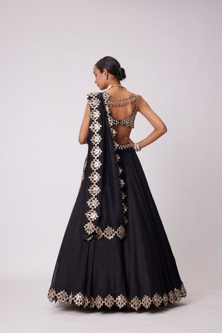 Black Organza Hand Embroidered Lehenga Set