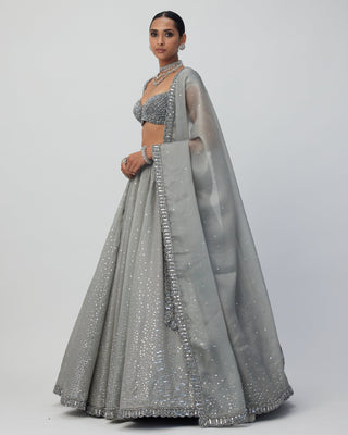 Crystal Grey Sequins Scattered Organza Lehenga Set