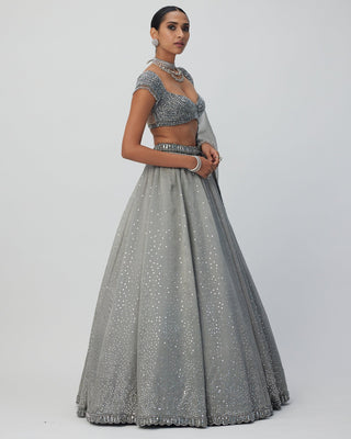 Crystal Grey Sequins Scattered Organza Lehenga Set