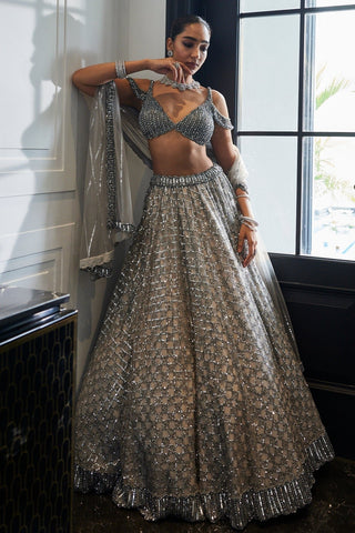 Crystal Grey Sequins Embroidered Lehenga Set