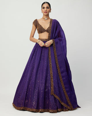 Royalty Purple Sequins Scattered Lehenga Set