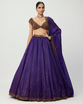 Royalty Purple Sequins Scattered Lehenga Set