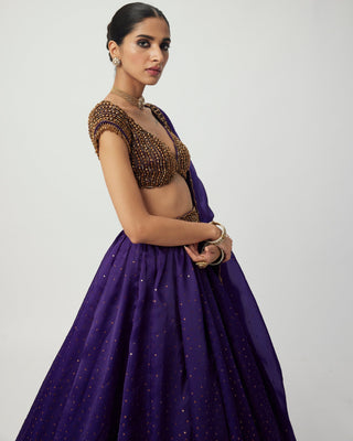 Royalty Purple Sequins Scattered Lehenga Set