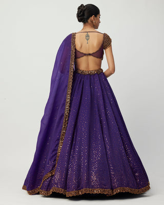 Royalty Purple Sequins Scattered Lehenga Set