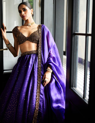 Royalty Purple Sequins Scattered Lehenga Set