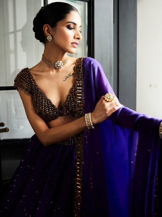 Royalty Purple Sequins Scattered Lehenga Set