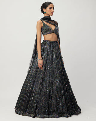 Black Crystal Linear Embroidered Lehenga Set