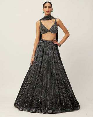 Black Crystal Linear Embroidered Lehenga Set