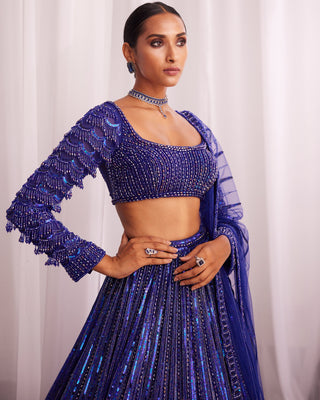 Cocktail Blue Crystal Linear Embroidered Lehenga Set