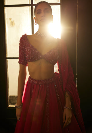 Ruby Red Organza Lehenga Set