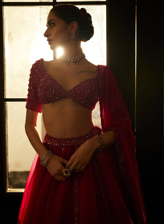 Ruby Red Organza Lehenga Set