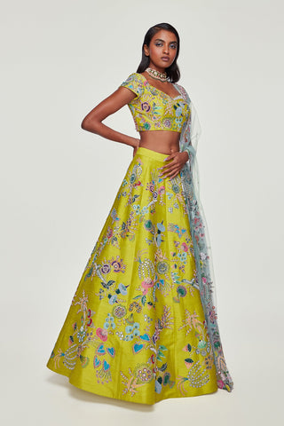 Lime Paper Dolls Raw Silk Appliquéd And Embellished Lehenga With Blouse And Cutwork Tulle Dupatta