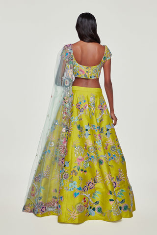 Lime Paper Dolls Raw Silk Appliquéd And Embellished Lehenga With Blouse And Cutwork Tulle Dupatta