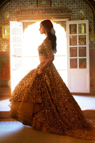 Gold Three-Dimensional Jewel Lehenga Set