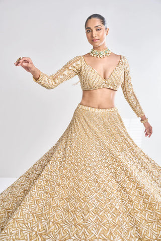 Gold Sequin Lehenga Set