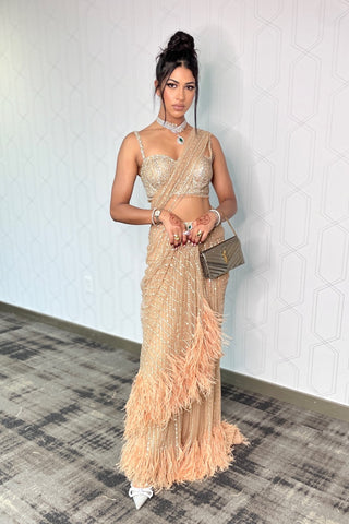 Nude Stone Embroidered Saree Gown