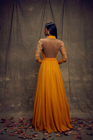 Mustard Gown with Embellished Long Sleeves