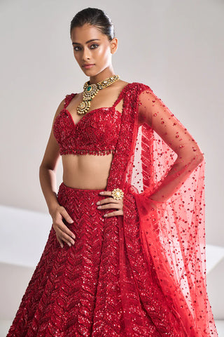 Red Leaf Lehenga