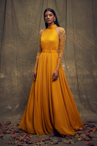 Mustard Gown with Embellished Long Sleeves