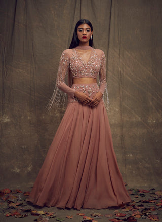 Dusty Rose Lehenga with Embellished Tasseled Sleeves