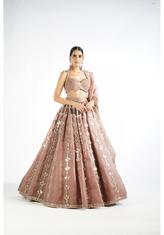 Deep Beige Chandelier Drop Lehenga Set