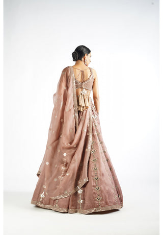 Deep Beige Chandelier Drop Lehenga Set