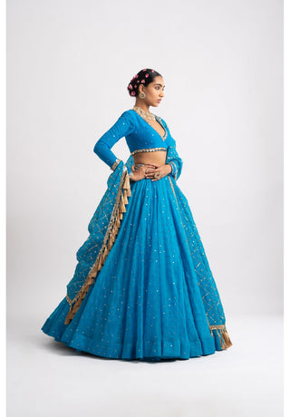 Firozi Silk Organza Heavy Dupatta Lehenga Set