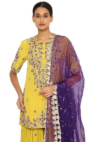 Imani Lime Green Colour Embroidered Kurta And Sharara With Purple Organza Dupatta