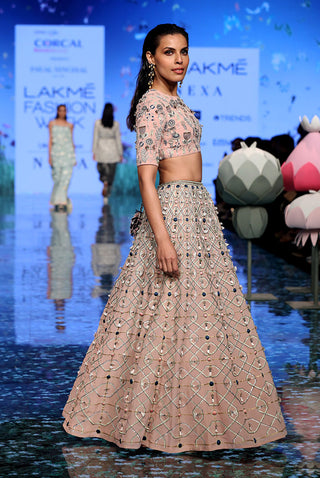 Sasha Blush Lehenga